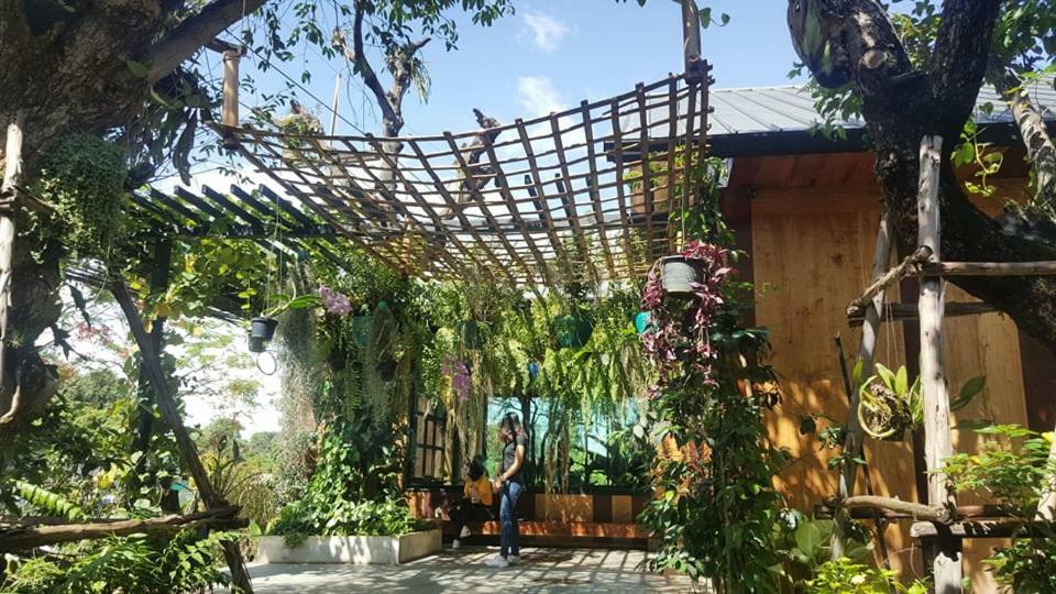 Yayo Coffee And Bed Apartment Chiang Rai Luaran gambar